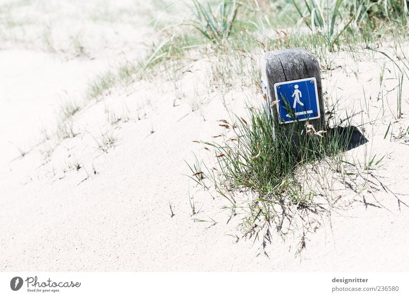 finder's reward Safari Summer Summer vacation Beach Ocean Sand Plant Grass Coast North Sea Sign Signs and labeling Hiking Bright Road marking Footpath Pictogram