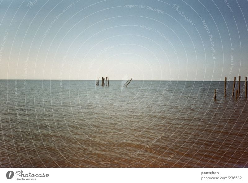 View into the sea with wooden pillars Environment Water Sky Cloudless sky Summer Coast North Sea Ocean Moody Stage Vacation & Travel Tourism Blue Colour photo