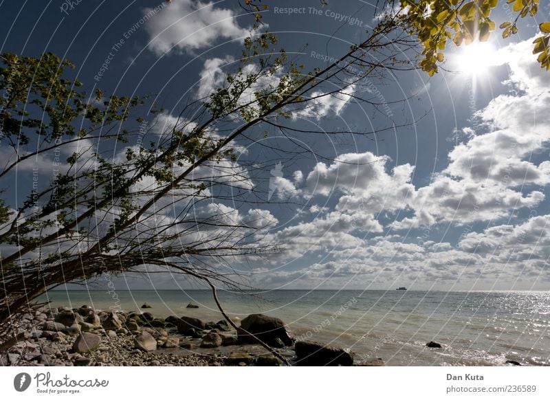 Sunshine Reaggae Sand Sky Clouds Horizon Sunlight Summer Climate Beautiful weather Tree Coast Beach Baltic Sea Island Rügen Happiness Contentment