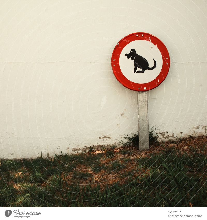 Please do not sit on the lawn Lifestyle Environment Grass Park Meadow Wall (barrier) Wall (building) Dog Sign Signs and labeling Signage Warning sign Uniqueness