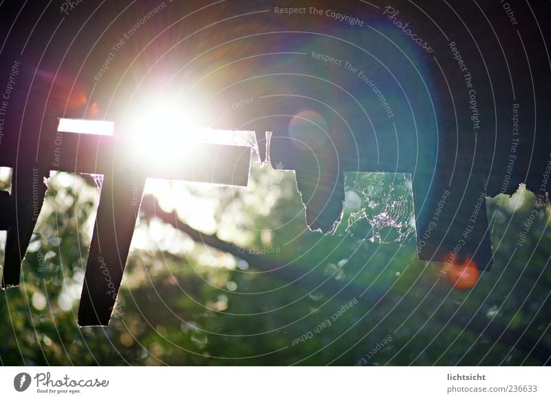 Into the light Nature Climate Beautiful weather Gate Decline Shed Wooden board Spider's web Refraction Shaft of light Apocalyptic sentiment Lens flare Roof