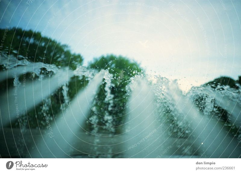 ...and it was summer Water Drops of water Summer Beautiful weather Tree Fountain Jet of water Analog Colour photo Lomography Deserted Copy Space top Day