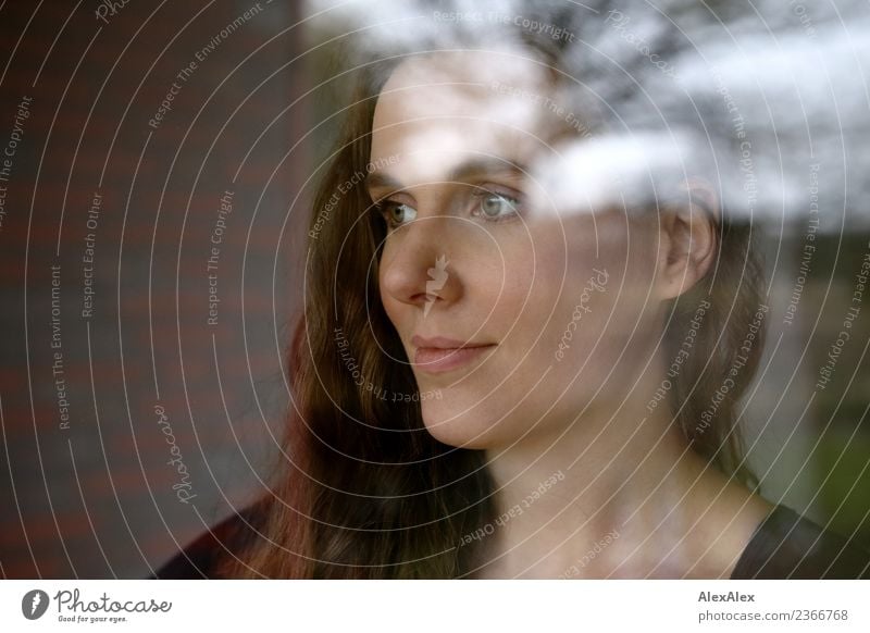 Portrait of a beautiful young woman behind a window pane with reflections and reflexions Style pretty Harmonious Well-being Flat (apartment) Garden Window