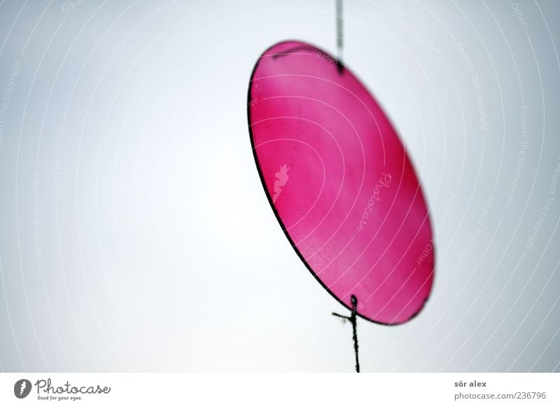 deco Decoration Plastic Round Red Bind fast To hold on Connector Colour photo Exterior shot Close-up Copy Space left Neutral Background Shallow depth of field