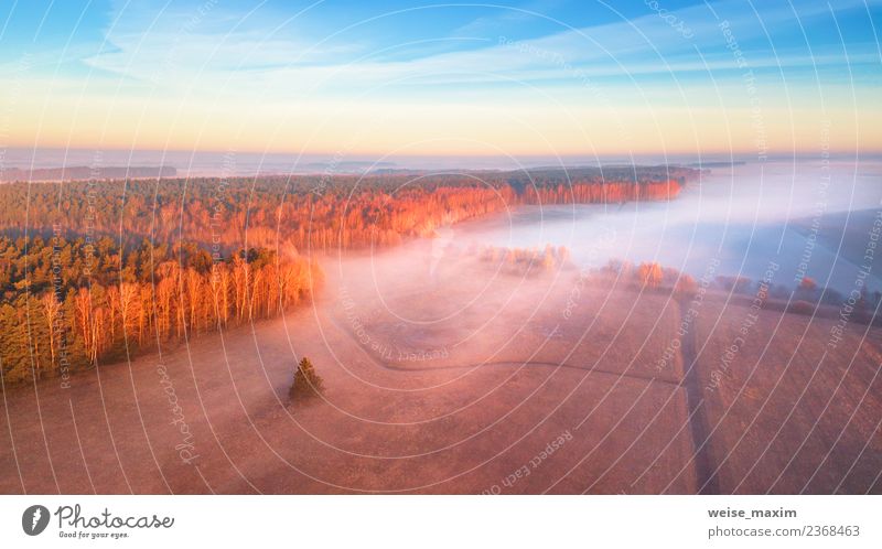 Spring foggy sunrise. Mist over fields Vacation & Travel Adventure Far-off places Freedom Summer Nature Landscape Sky Clouds Sunrise Sunset Autumn