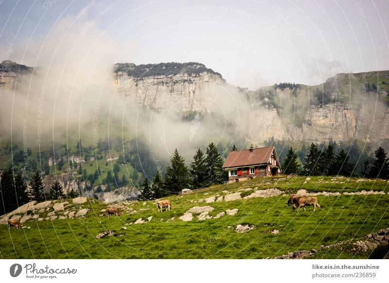 postcard motif Relaxation Calm Vacation & Travel Tourism Trip Far-off places Freedom Mountain Hiking Environment Landscape Clouds Summer Climate Weather