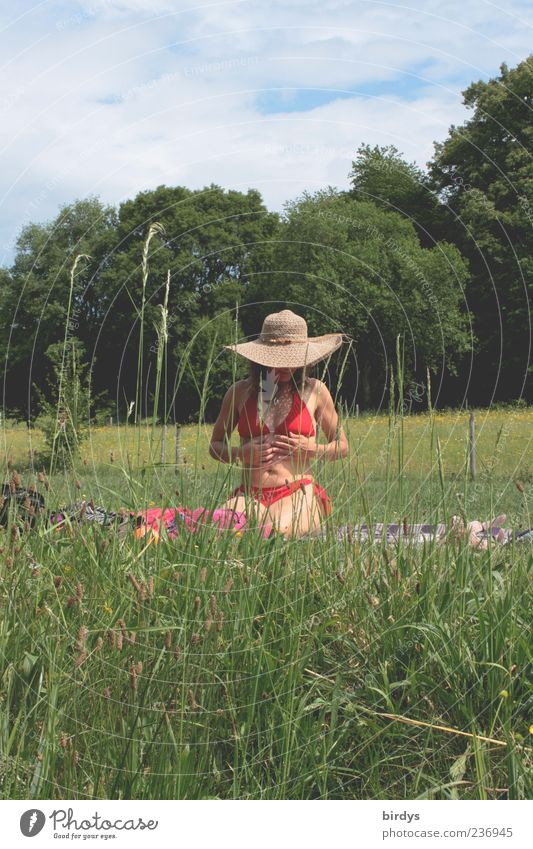 Enjoy the sun Happy Harmonious Young woman Youth (Young adults) Life 1 Human being Nature Plant Summer Beautiful weather Grass Meadow Touch To enjoy Crouch