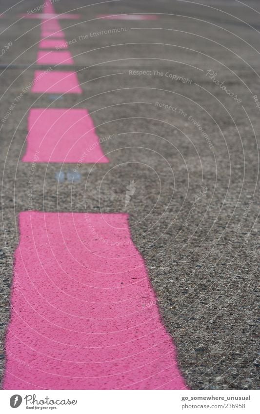 Pink to the horizon Germany Europe Deserted Airport Aviation Runway Sharp-edged Firm Glittering Crazy Dry Attentive Idea Inspiration Creativity Future Blur