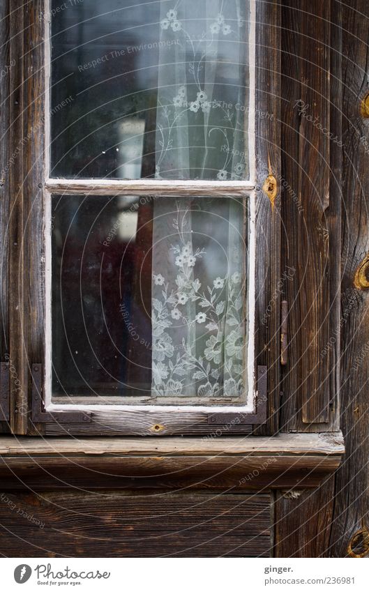 Insight in the approach available Window Door Brown Old Shabby Dull Transparent Curtain Abrasion Gloomy Division Vista Bleached Closed Uninhabited Empty Wood