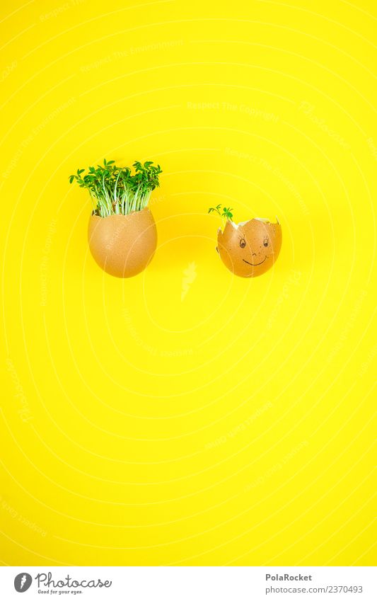 #S# Hair Loss Food Joy Egg Easter Cress Art Esthetic Joke Green Yellow Sustainability Hair loss Hair and hairstyles Hair Stylist Handicraft Infancy Face Fresh