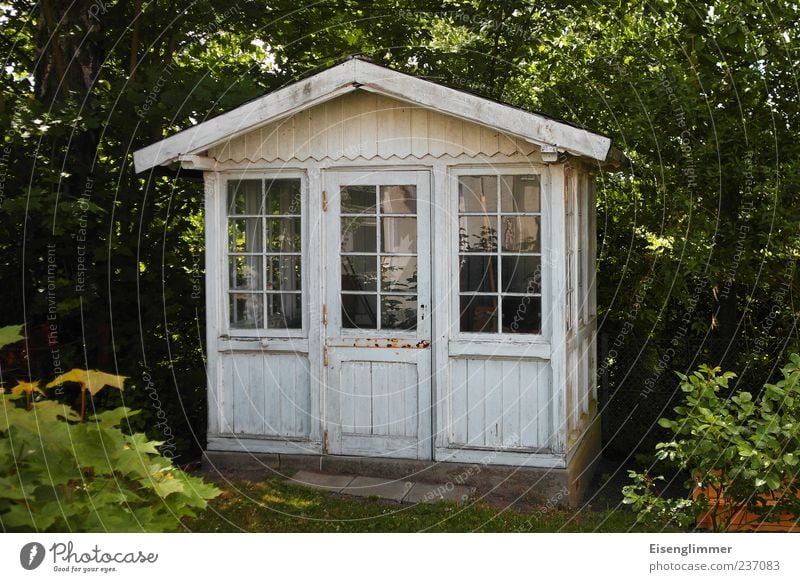 deluxe gazebo Environment Nature Plant Summer Leaf Foliage plant Garden Deserted House (Residential Structure) Hut Architecture Gardenhouse Door