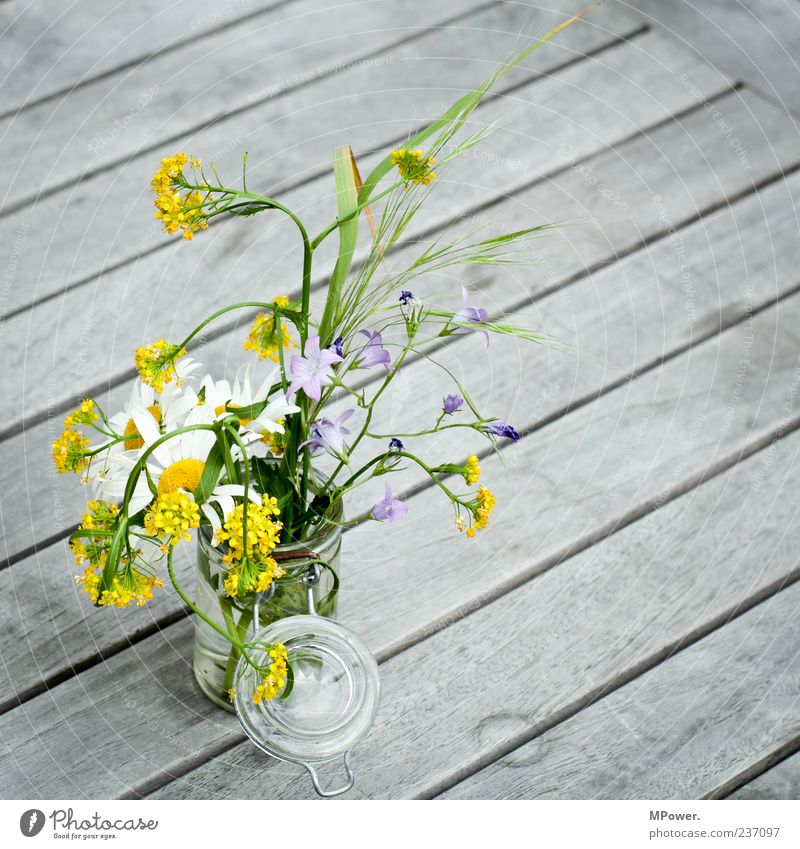 frosting flowers Preserving jar Flower vase Bouquet Wooden table Spring flower Spring flowering plant Deserted Copy Space right Still Life Table decoration