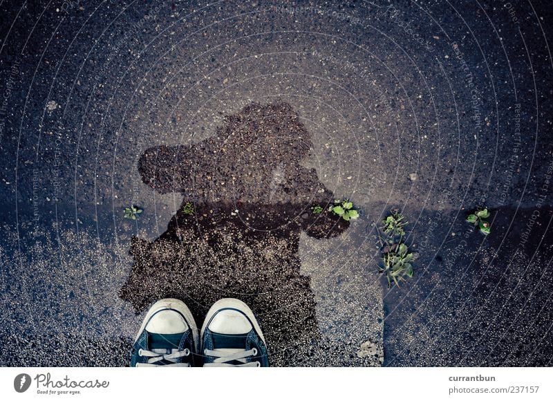 There are worlds between us... Chucks Footwear Green Shadow Puddle Reflection Woman Colour photo Multicoloured Exterior shot Copy Space top Day Contrast