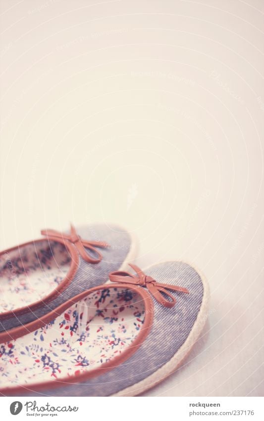 Going for a walk Feminine Fashion Clothing Footwear Beautiful Blue Brown Pink Ballerina Bow Colour photo Multicoloured Interior shot Close-up Detail