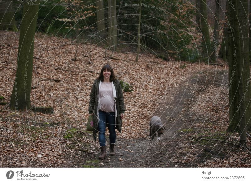 young pregnant woman with long brunette hair walks with her dog on a forest path Human being Feminine Young woman Youth (Young adults) Adults 1 30 - 45 years