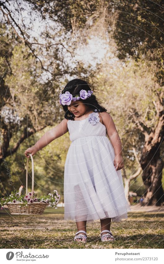 Little girl with flower basket Beautiful Freedom Summer Child Human being Woman Adults Infancy Nature Landscape Flower Grass Meadow Fashion Dress Smiling Small