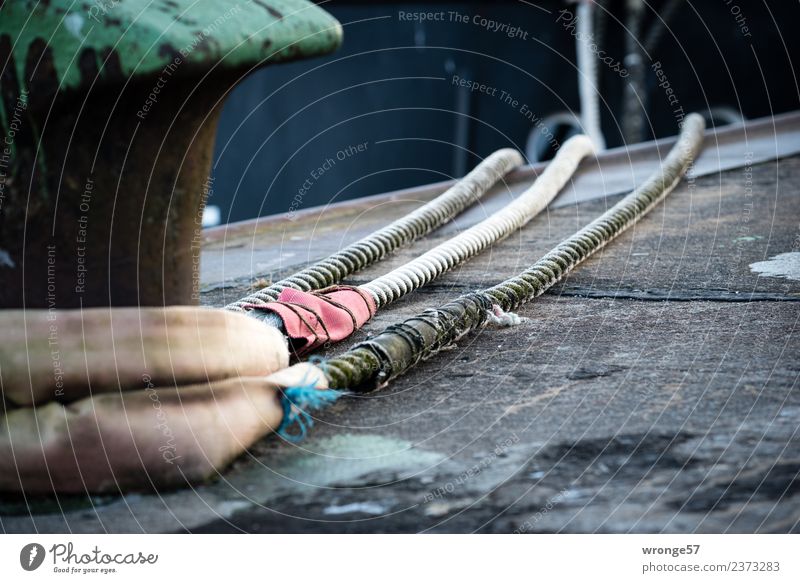 Well guarded in the safe harbor. Watercraft Harbour Rope Tug-of-war Firm Long Maritime Green Red Black Jetty Bollard Fastener Drop anchor Safety Ship's side