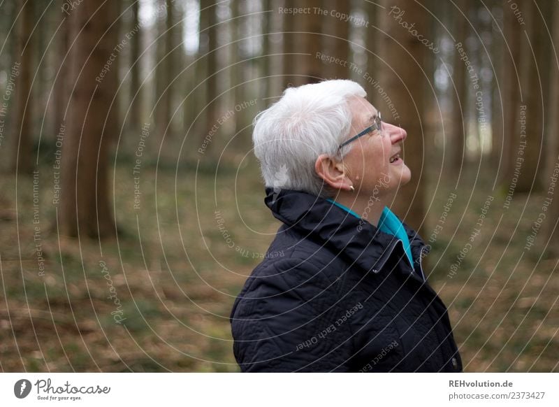 Senior citizen looks up in the forest Human being Feminine Grandmother Head 1 60 years and older Environment Nature Autumn Winter Forest Jacket Eyeglasses