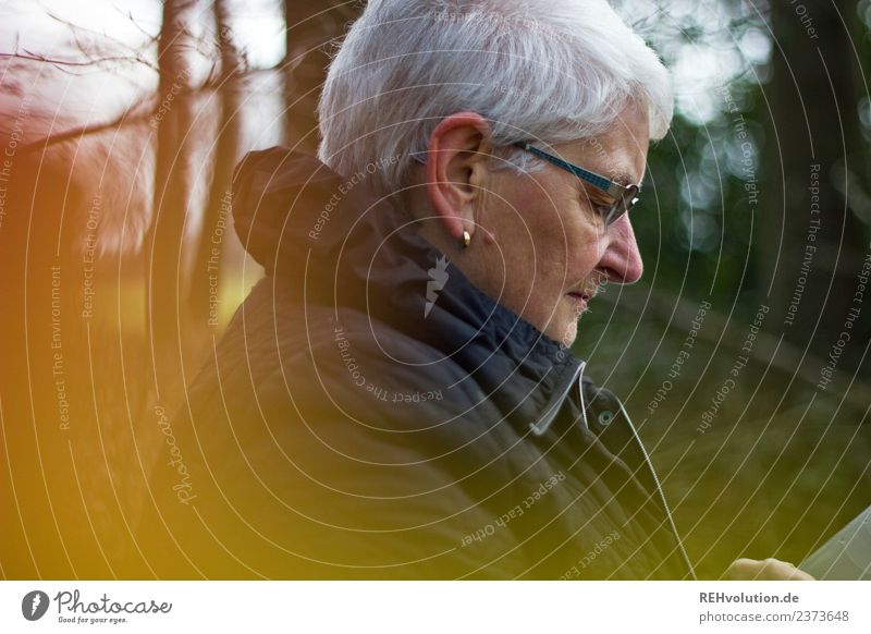 Senior citizen looks at her smartphone in the autumn forest Leisure and hobbies Cellphone Human being Feminine Woman Adults Female senior Grandmother Life 1