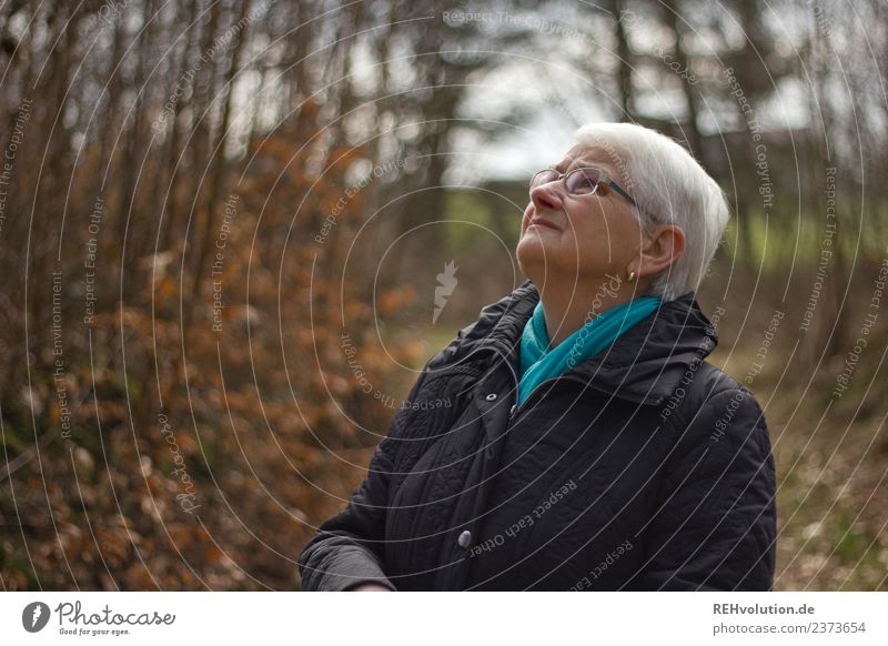 Senior citizen looks up in autumn forest Human being Feminine Woman Adults Female senior Grandmother Life 1 60 years and older Environment Nature Landscape