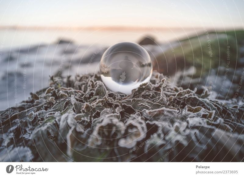 Crystal ball in the nature with a silhouette of a person Beautiful Wellness Meditation Winter Snow New Year's Eve Human being Nature Leaf Glittering Green White