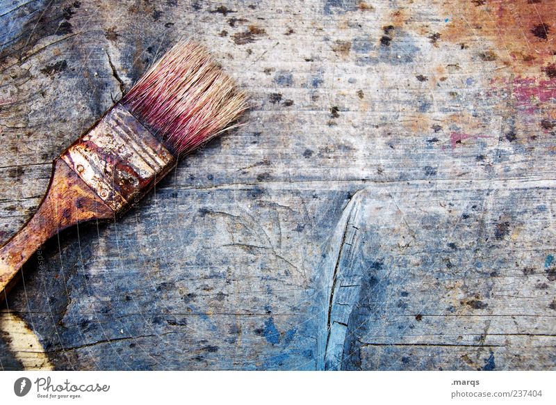 brush Profession Painter Paintbrush Wood Painting (action, work) Old Dirty Colour Creativity Change Bristles Dye Patch of colour Colour photo Subdued colour