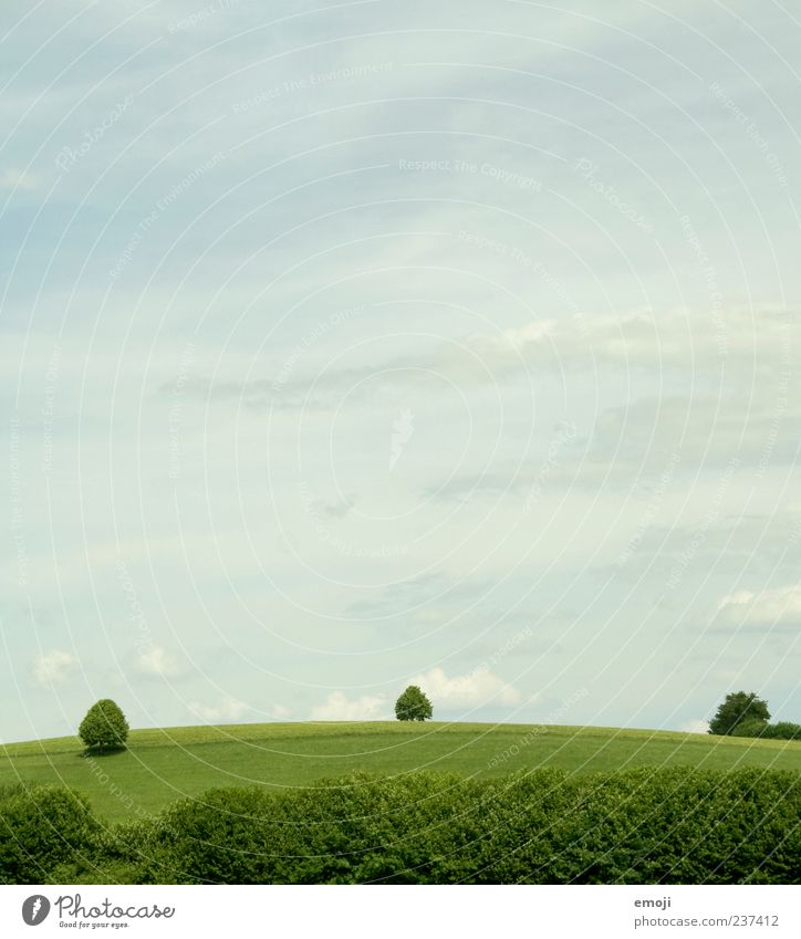 Swiss farmers Environment Nature Landscape Earth Air Sky Summer Tree Grass Bushes Foliage plant Field Natural Green Colour photo Exterior shot Deserted