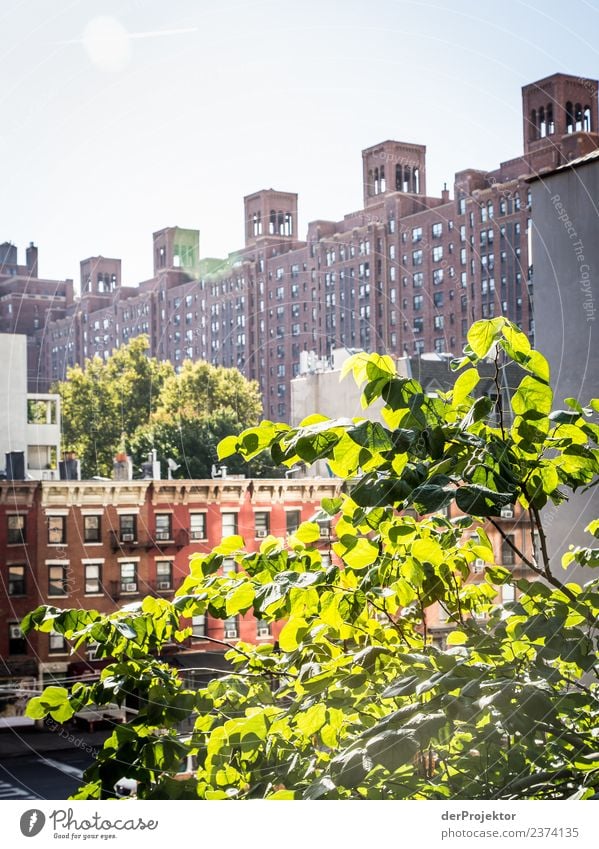 Highline in New York II Deep depth of field Contrast Shadow Light Day Copy Space middle Copy Space bottom Copy Space left Copy Space right Deserted