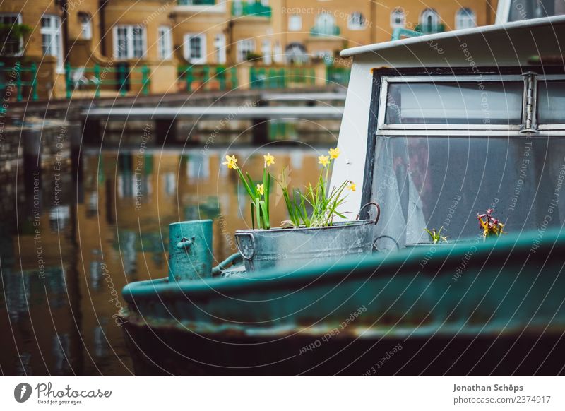 Flowers in buckets on a boat in the port Lifestyle Fishing (Angle) Happy Contentment Joie de vivre (Vitality) Spring fever Brighton Watercraft Boating trip