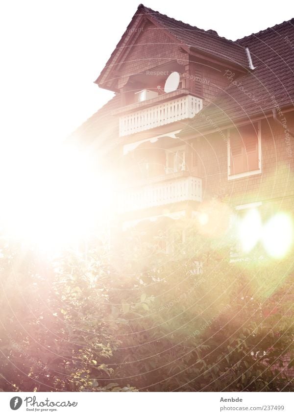 summer cottage House (Residential Structure) Detached house Building Esthetic Colour photo Exterior shot Deserted Copy Space left Evening