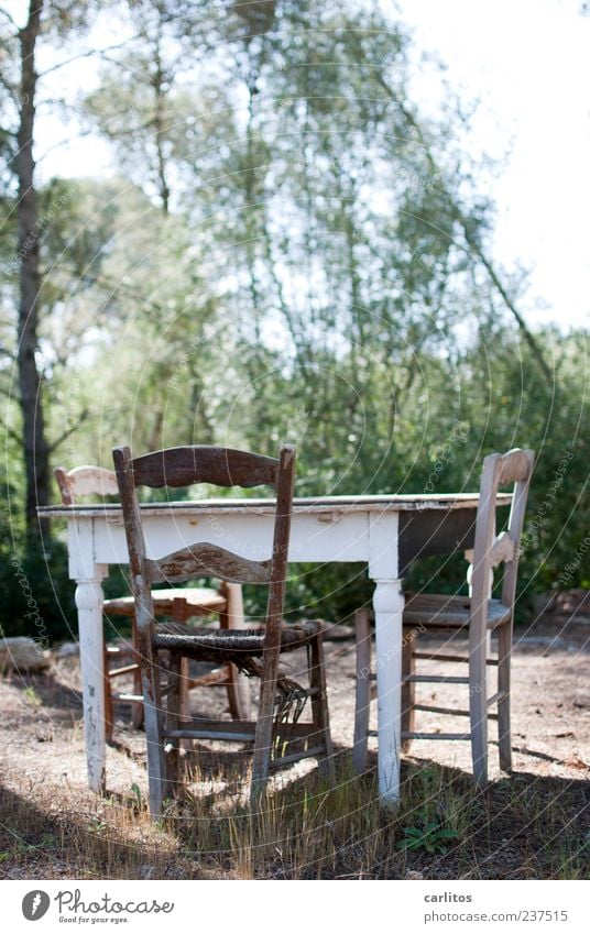 The old Wuttke doesn't come anymore Sand Summer Beautiful weather Tree Grass Bushes Old Relaxation Sit Authentic Simple Gloomy Green Agreed Calm Loneliness