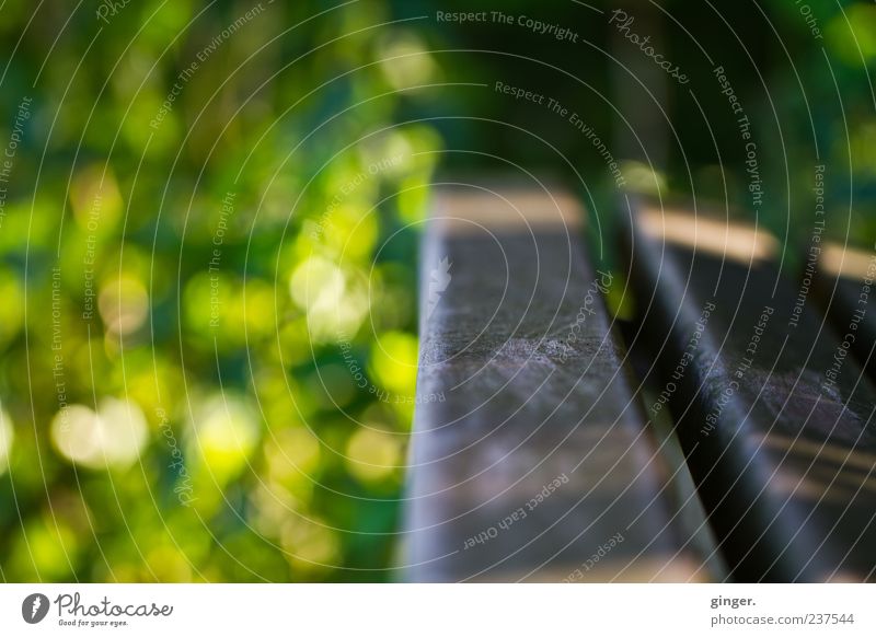 Why don't you stop for a moment, sit down and rest? Environment Plant Spring Beautiful weather Park Warm-heartedness Serene Calm Bench Stay Break Relaxation