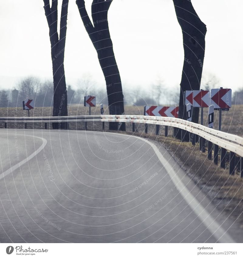 Sharp to the left Style Design Environment Nature Landscape Sky Tree Meadow Field Transport Road traffic Street Lanes & trails Sign Signs and labeling Signage