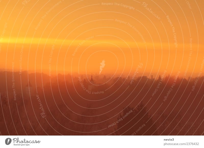 Sunrise bathes Biberach in orange-red light Environment Nature Landscape Sunset Sunlight Tree Forest Small Town Outskirts House (Residential Structure) Church