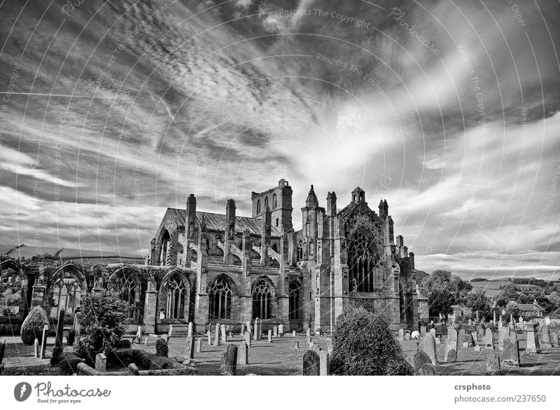 Abbey, oh Abbey... Deserted Church Dome Ruin Building Tourist Attraction Landmark Monument Stone Power Might Protection Secrecy Scotland Architecture Cemetery