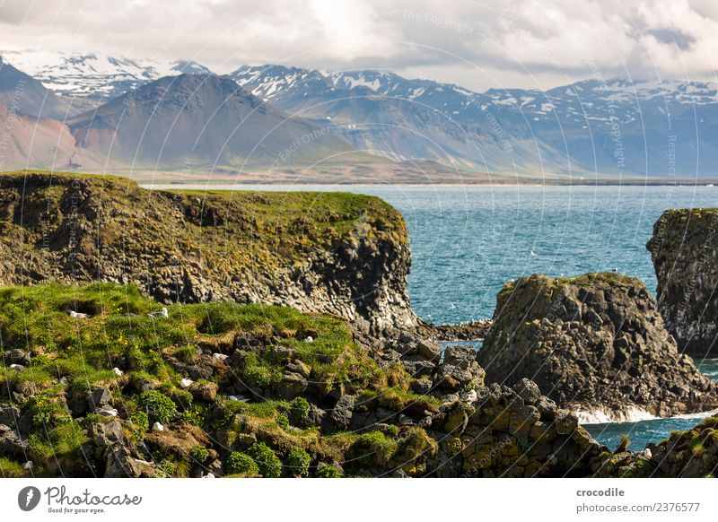 Iceland VII Cliff Belt highway Moss Lichen Mountain Lava Green Panorama (View) Panorama (Format) Hiking Vantage point Far-off places Ocean Atlantic Ocean Water