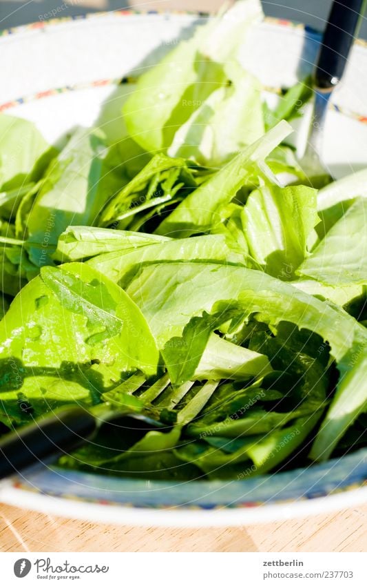 salad Lettuce Salad Herbs and spices Nutrition Organic produce Vegetarian diet Diet Slow food Fresh Green Fork Colour photo Multicoloured Exterior shot Close-up