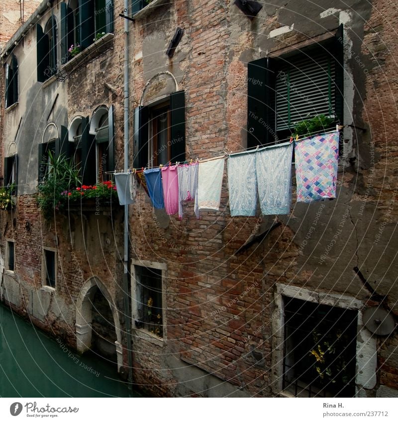 Washing day in Venice Vacation & Travel Italy Town Old town House (Residential Structure) Architecture Facade Authentic Multicoloured Cleanliness Laundry