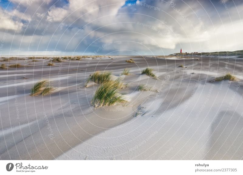 windy stormy day on North sea coast, Texel, Holland Beautiful Vacation & Travel Beach Nature Landscape Sand Sky Clouds Horizon Weather Beautiful weather Storm