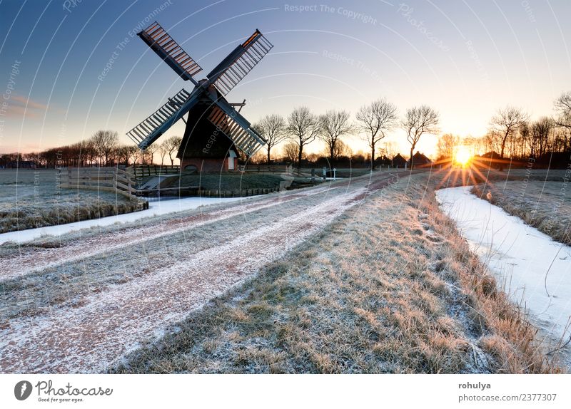 wintry sunrise over frozen countryside with windmill, Holland Winter Snow Landscape Sky Sunrise Sunset Weather Ice Frost River Building Architecture Street Blue