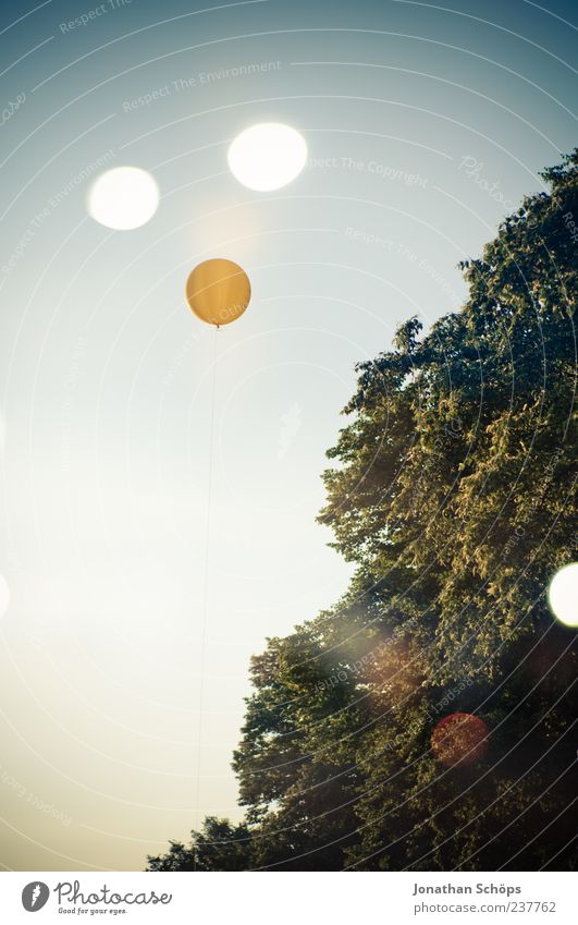 dot, dot, comma, stroke ... nee balloon / blind Nature Air Sky Cloudless sky Blue Yellow Green Balloon Tree Light (Natural Phenomenon) UFO Montage