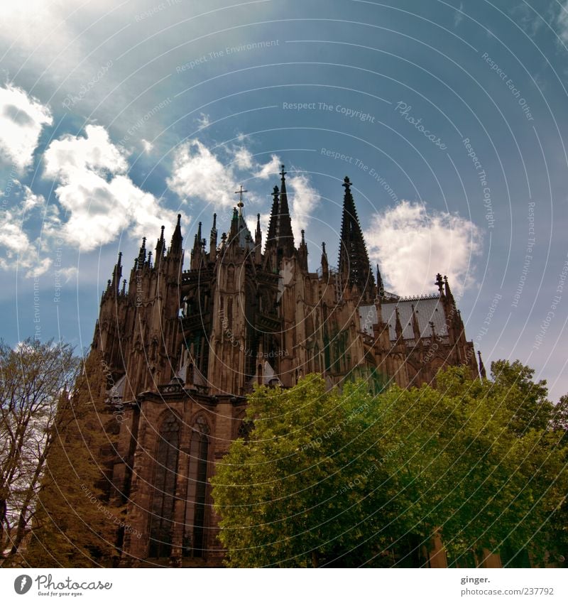 Beautiful from behind Cologne Downtown Church Dome Manmade structures Architecture Gothic period Cologne Cathedral Exceptional Large Behind Rear view Monumental