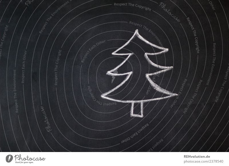 board drawing | fir tree Feasts & Celebrations Christmas & Advent Tree Exceptional Uniqueness Black White Fir tree Christmas tree Drawing Blackboard Chalk