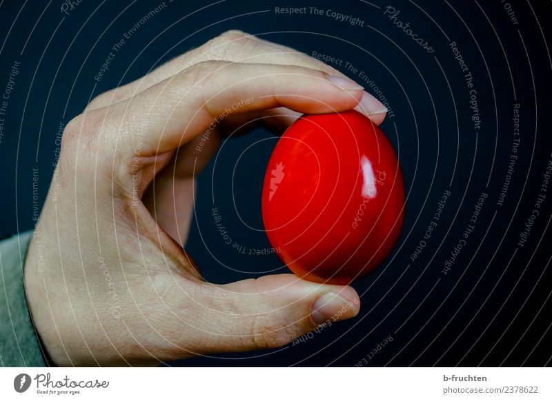 Easter egg Food Nutrition Breakfast Man Adults Hand Fingers To hold on Red Black Egg Hen's egg Indicate Interior shot Studio shot Close-up Artificial light