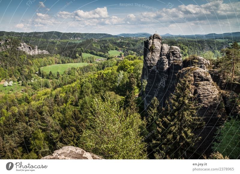 rock face Vacation & Travel Tourism Trip Adventure Far-off places Summer Summer vacation Hiking Nature Landscape Sky Horizon Beautiful weather Forest Hill Rock