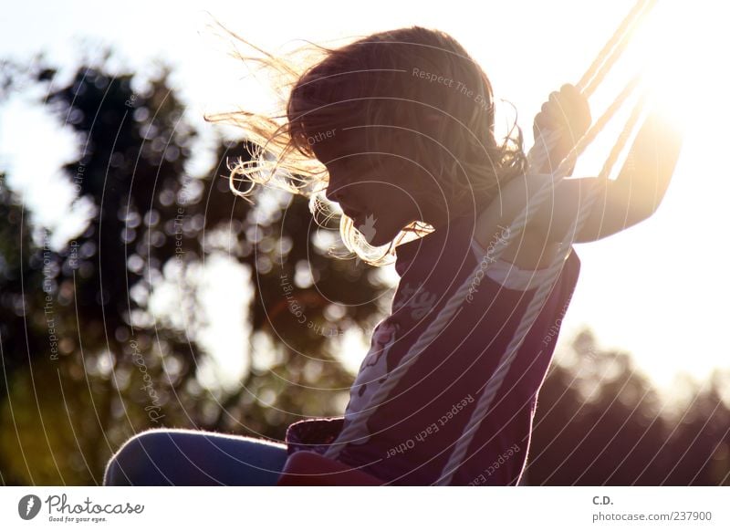 from the lightness of his... Girl Infancy 1 Human being 3 - 8 years Child Nature Summer Beautiful weather Garden Blonde Red-haired To swing Happiness