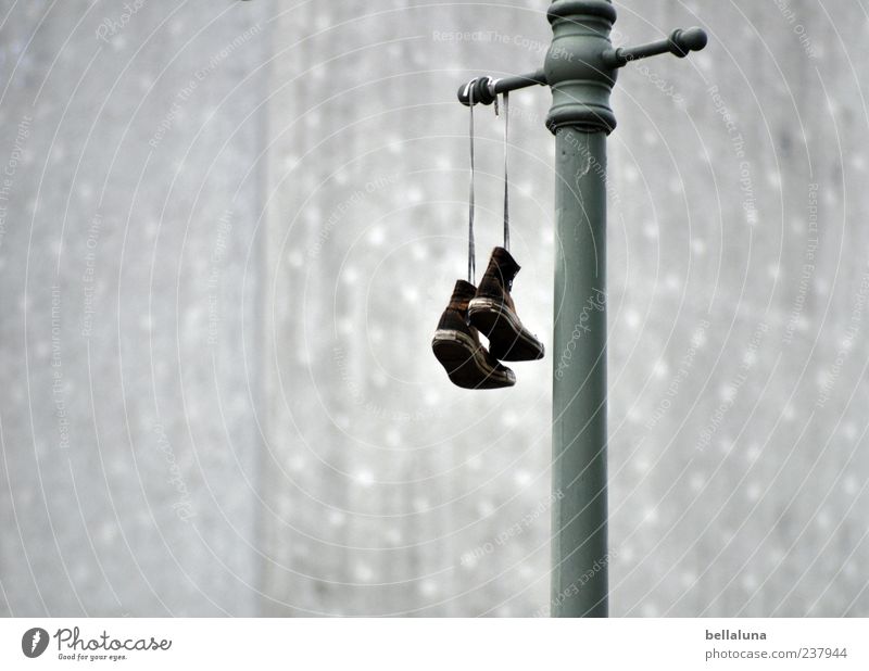 lost Footwear Sneakers Hiking boots Hang Lantern Lamp lace-up shoes Wall (building) Gray Brown Colour photo Subdued colour Exterior shot Copy Space left