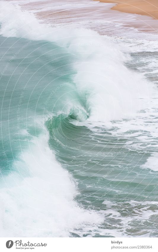 The shaft , the crusher Beach Ocean Waves Water Coast Esthetic Authentic Fluid Fresh Maritime Wet Positive Wild Turquoise White Power Life Movement Idyll Nature