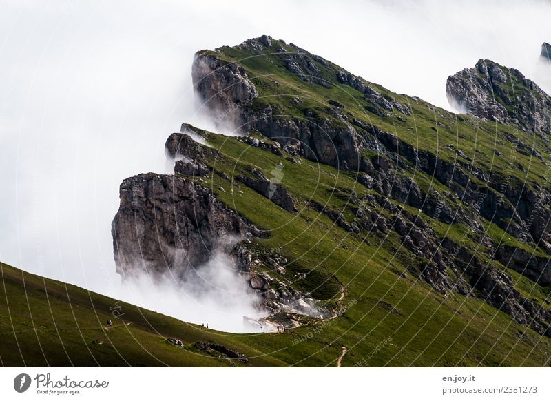 break Vacation & Travel Tourism Trip Adventure Far-off places Summer Summer vacation Mountain Hiking Nature Landscape Elements Clouds Fog Meadow Hill Rock Alps