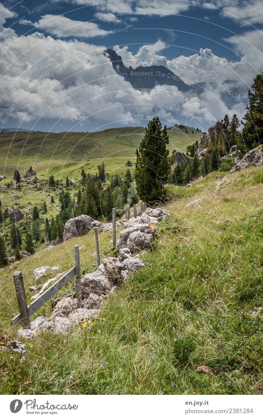 landscape Vacation & Travel Trip Summer Summer vacation Mountain Hiking Nature Landscape Plant Sky Clouds Tree Meadow Hill Rock Alps Dolomites Peak Italy